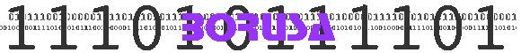 Borusa