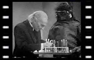 Image of The Doctor & Monoid