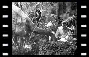 Image of The Doctor and Steven meeting an Elephant in the Jungle