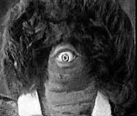 Image of a Monoid