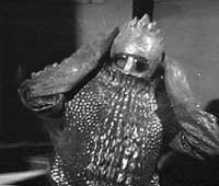 Image of Ice Warrior