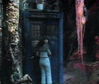 Image of Sarah Jane entering the TARDIS