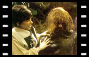 Image of Dodo and a Monoid