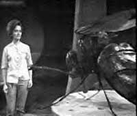 Image of Barbara and a giant fly