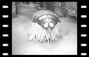 Image of a venom grub