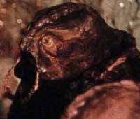 Image of Mutant